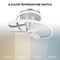 Modern Forms Fans Veloce Indoor Smart Fandelier 2700-3000-4000-5000K LED in Titanium FH-D2402-28L-TT - alternate 7